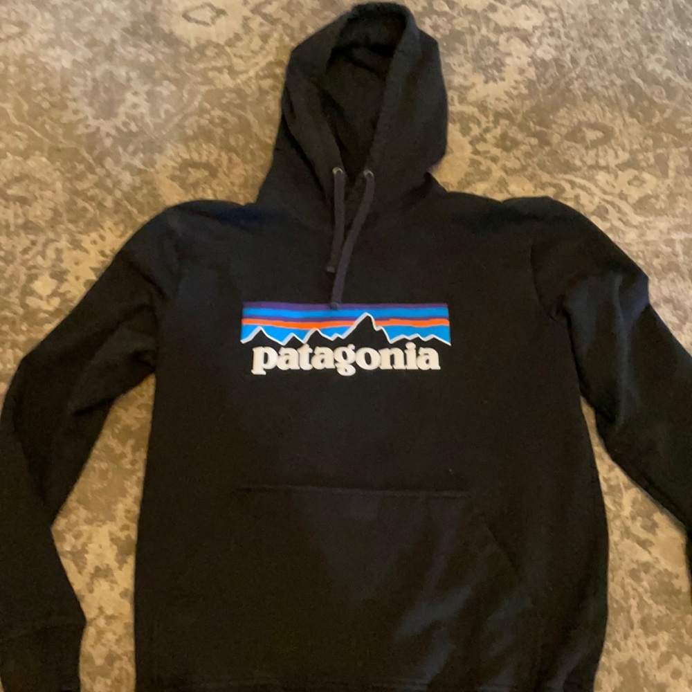 Patagonia hoodie